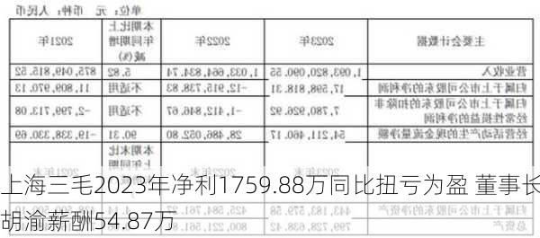 上海三毛2023年净利1759.88万同比扭亏为盈 董事长胡渝薪酬54.87万