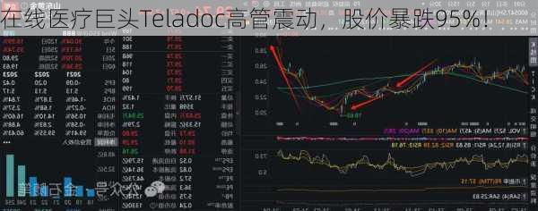 在线医疗巨头Teladoc高管震动，股价暴跌95%！