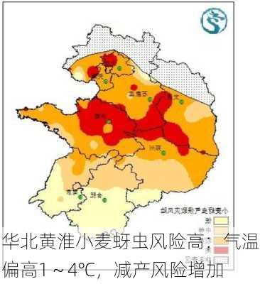 华北黄淮小麦蚜虫风险高：气温偏高1～4℃，减产风险增加